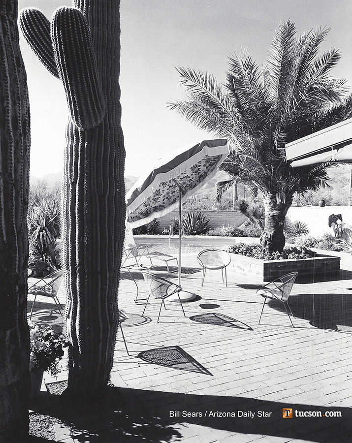 1963 Tucson home photos: A saguaro grows in their patio